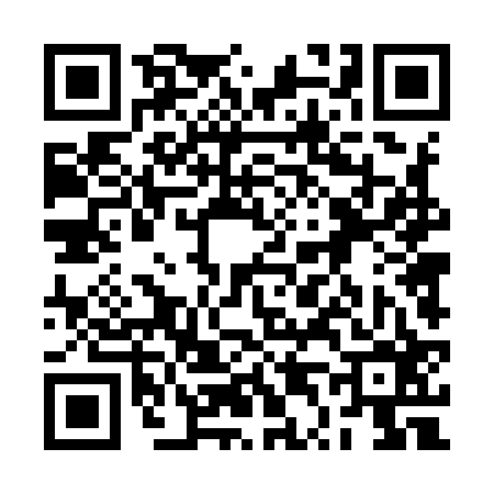 QR code for 2T4926P