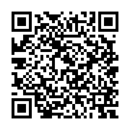 QR code for 2T5003S