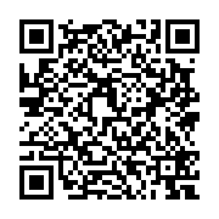 QR code for 2T9029G