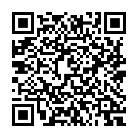 QR code for 2T994DS