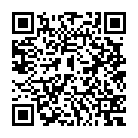 QR code for 2TC0333