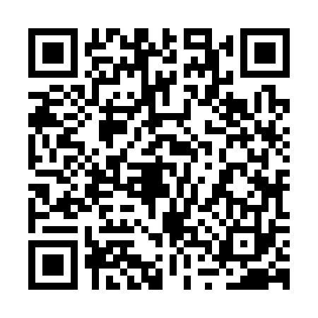 QR code for 2TZ3738