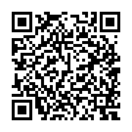QR code for 3B0382F
