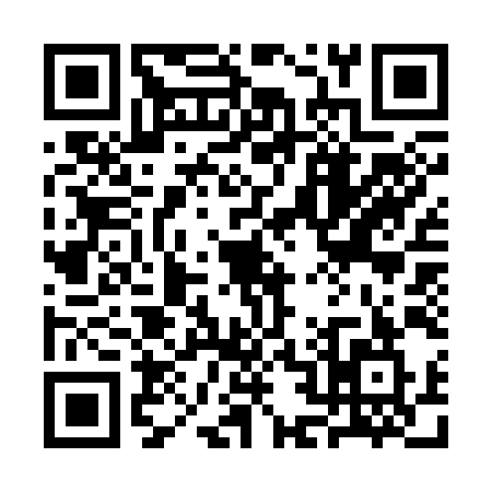 QR code for 3B339WO