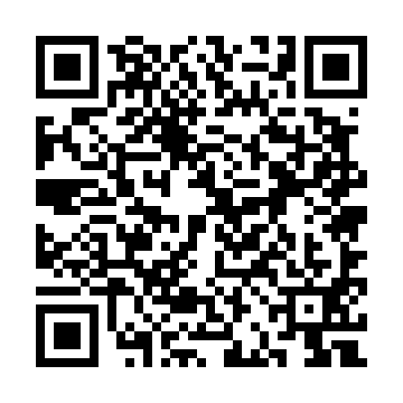 QR code for 3BE4919