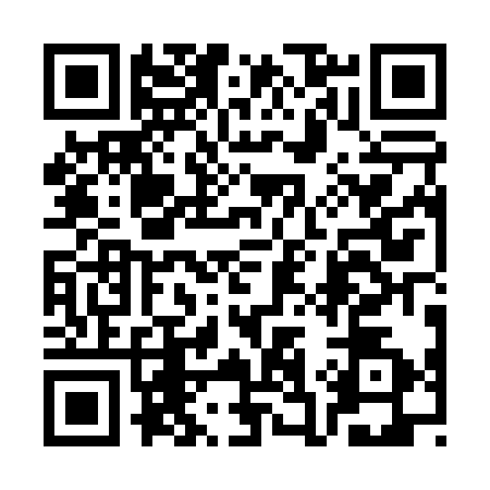 QR code for 3C0P328