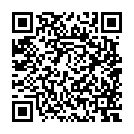 QR code for 3G0487E