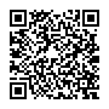 QR code for 3G0P071
