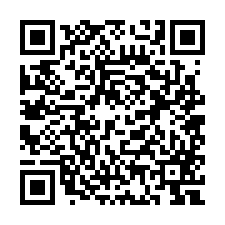 QR code for 3G2387U