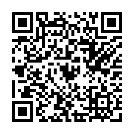 QR code for 3G2979C