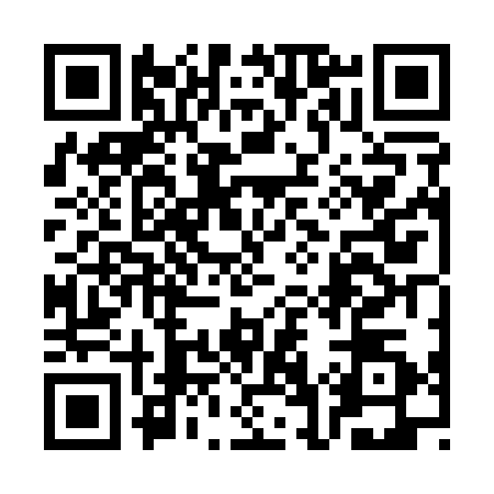 QR code for 3G6Q308