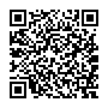 QR code for 3G6Q841