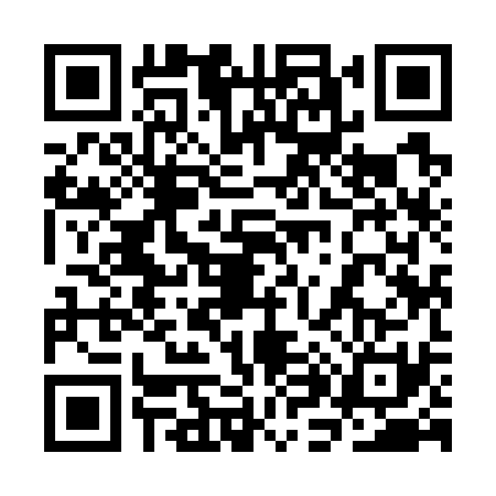 QR code for 3H97317