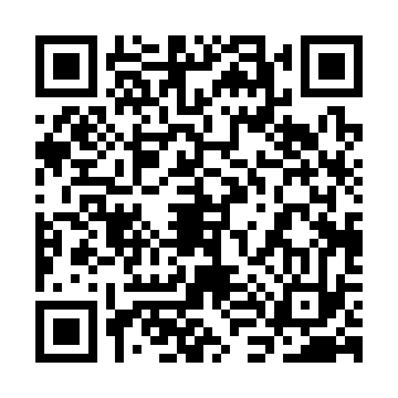 QR code for 3L0333T