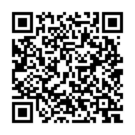 QR code for 3L065FG