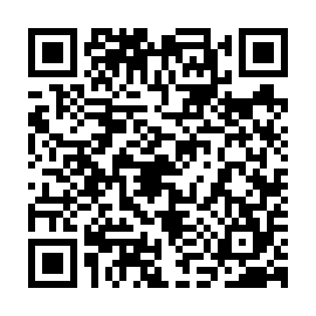 QR code for 3M66545
