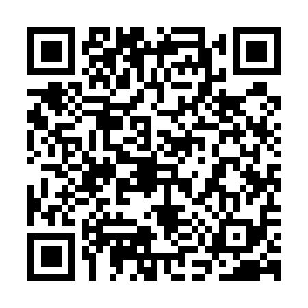 QR code for 3M9519S