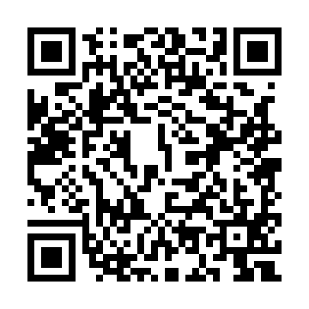 QR code for 3O01950