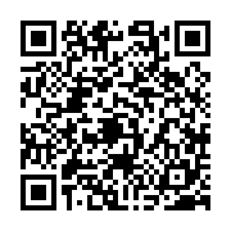 QR code for 3O8155T