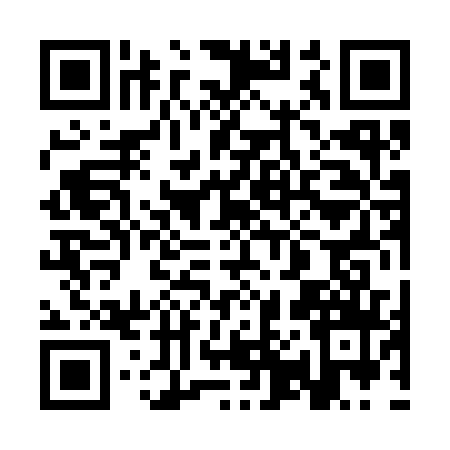 QR code for 3P0339T