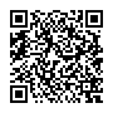 QR code for 3P04290