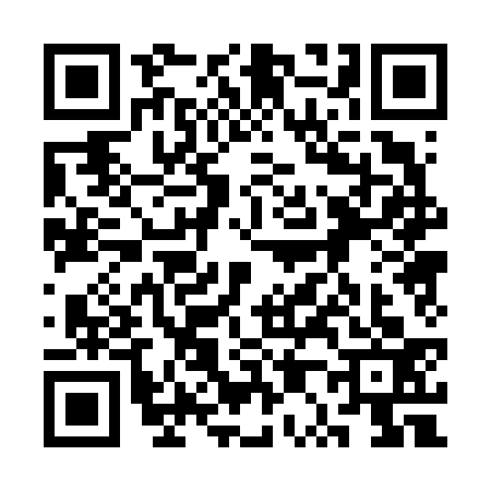 QR code for 3P06333