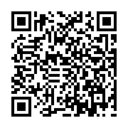 QR code for 3P117IN
