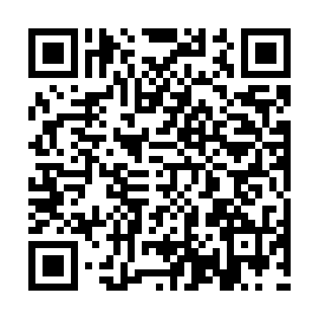 QR code for 3P17304
