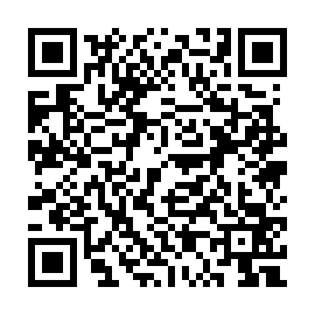 QR code for 3P17638
