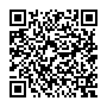 QR code for 3P19113
