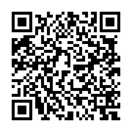 QR code for 3P1L593