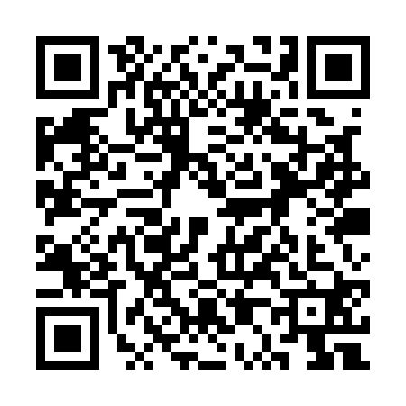 QR code for 3P1Q208