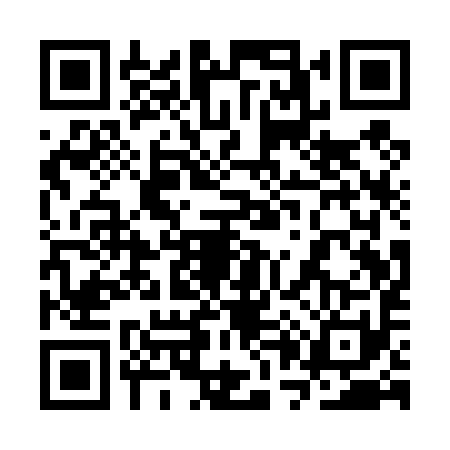 QR code for 3P1T913