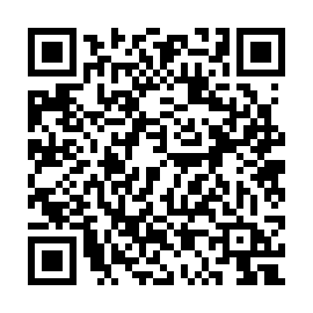 QR code for 3P233BV