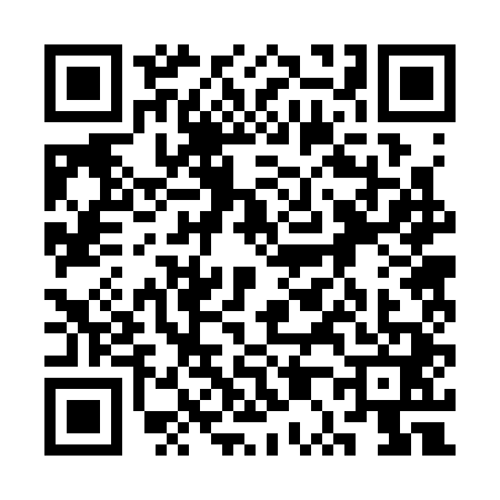 QR code for 3P23411