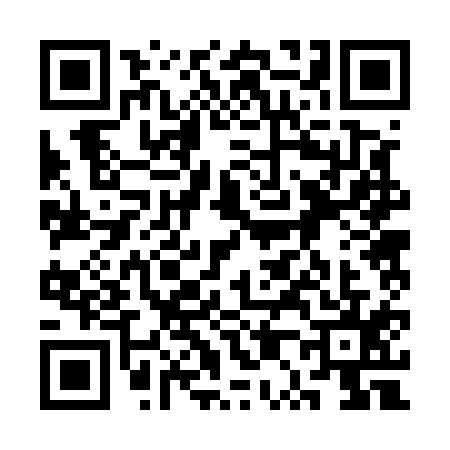 QR code for 3P25155
