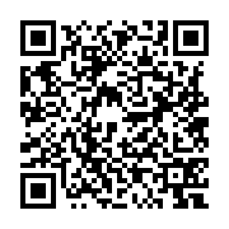 QR code for 3P29741