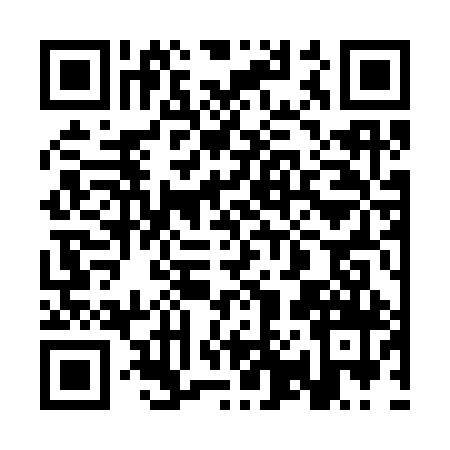 QR code for 3P3399X