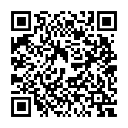 QR code for 3P369GO