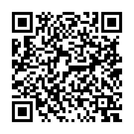 QR code for 3P386PL