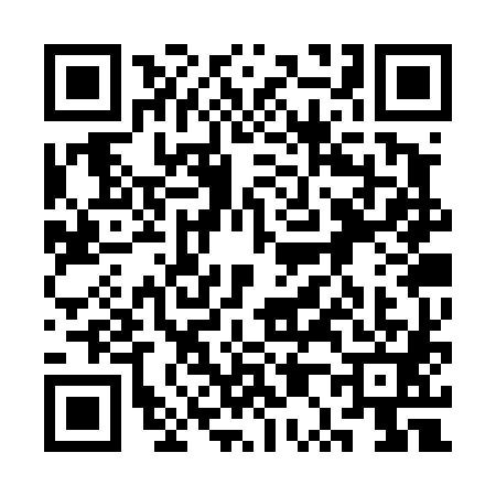QR code for 3P3T811