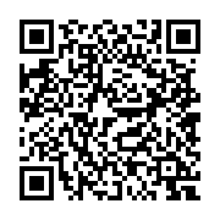 QR code for 3P455FY