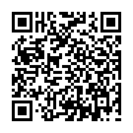 QR code for 3P465IE