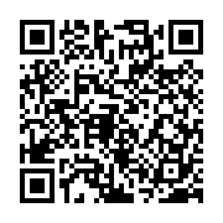 QR code for 3P50729