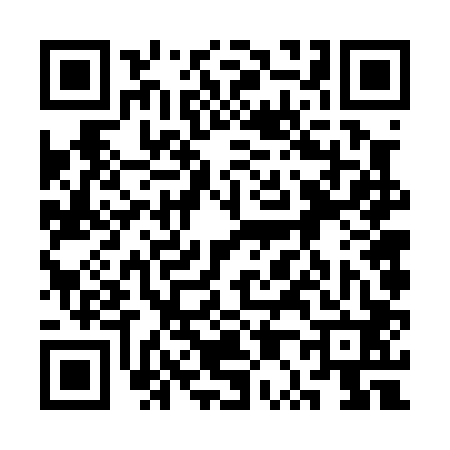 QR code for 3P6002Q