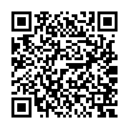 QR code for 3P6Q425