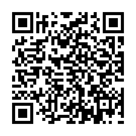 QR code for 3P8Q825