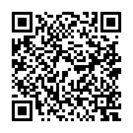 QR code for 3P9153X