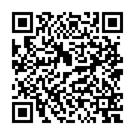 QR code for 3P9161N