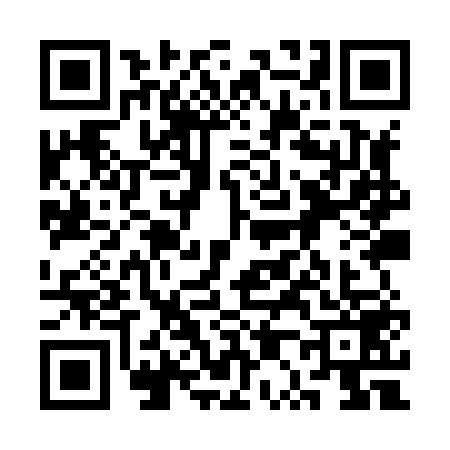 QR code for 3P9X595